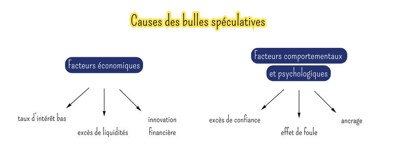 2 graphiques : Les causes des bulles spéculatives