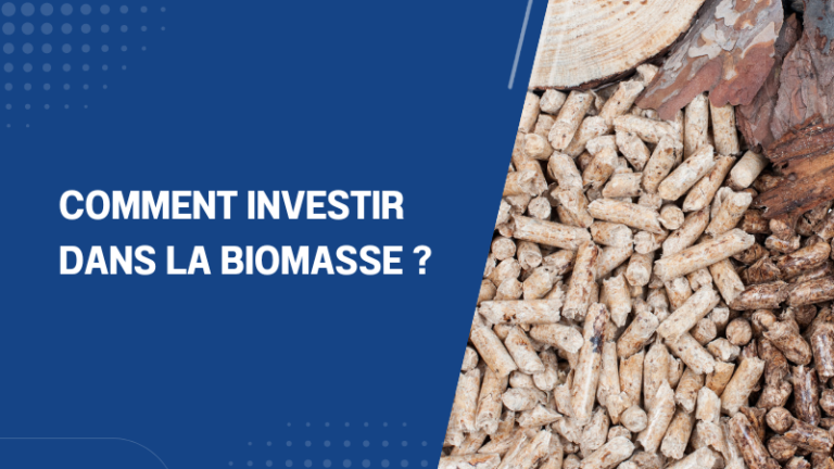 Comment investir dans la Biomasse