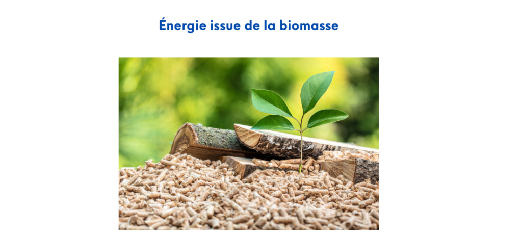 énergie issue de la biomasse